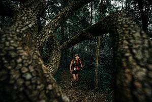 BIB: 
                            <button type="button" onclick="openModal(25673170)" class="btn btn-primary btn-sm float-right btn-popup" data-toggle="modal" data-target=".modal-high-quality">
                        <i class="fas fa-shopping-cart"></i> Add to Cart
                    </button>
                                            <button type="button" onclick="isThisMe(25673170, true)" class="btn btn-success btn-sm float-right btn-popup btn-isme hidden" data-toggle="tooltip" data-placement="bottom" title="นี่คือรูปของคุณใช่ไหม คลิกที่นี่เพื่อเอาเข้าอัลบั้ม">
                        <i class="fas fa-plus"></i> Add to album
                    </button>
                    <button type="button" onclick="isThisMe(25673170, false)" class="btn btn-warning btn-sm float-right btn-popup btn-isnotme hidden">
                        <i class="fas fa-ban"></i> Remove from album
                    </button>